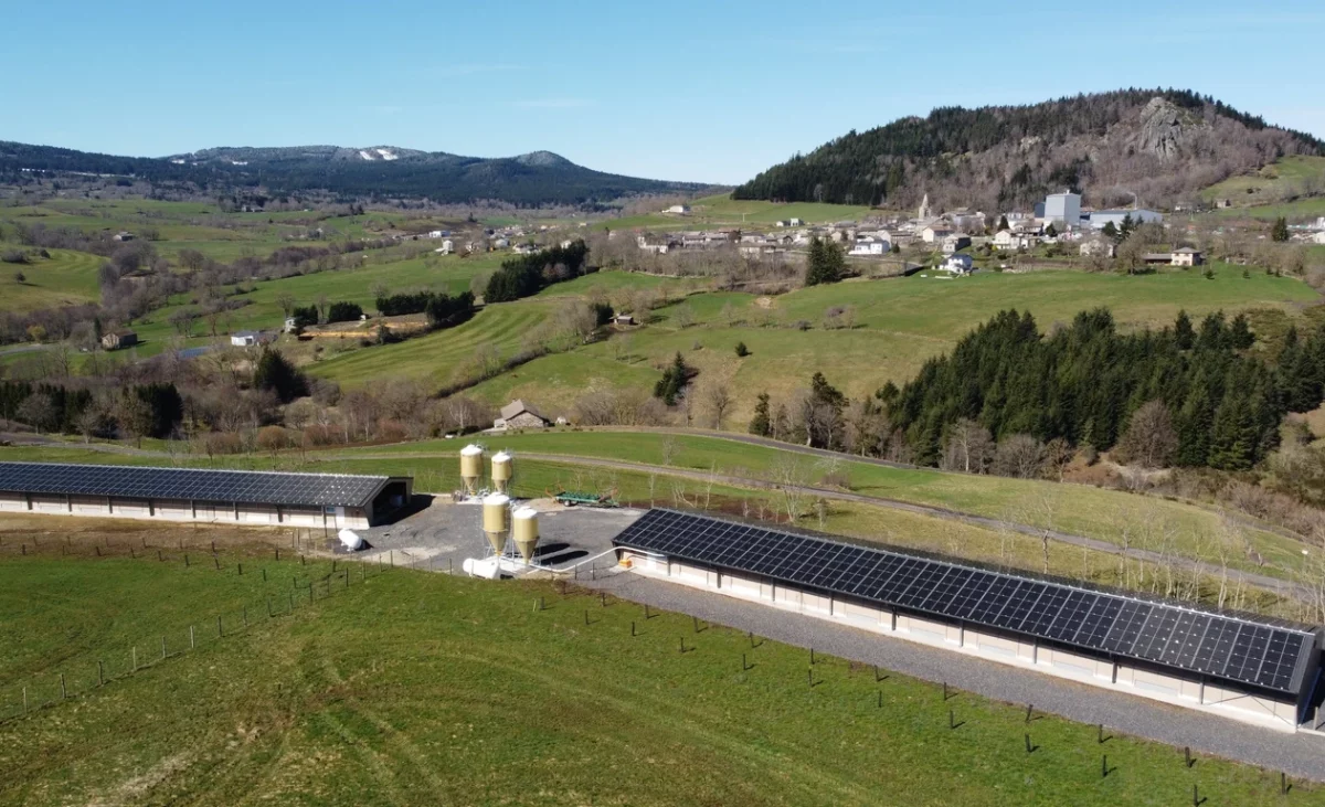 8c7c14_5b400e0f66b9408c9c6ed5327e59dbf0~mv2